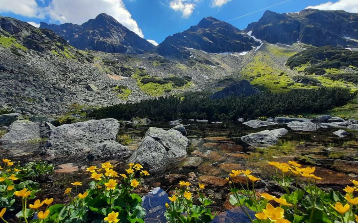 zielony staw gąsienicowy tatry polska