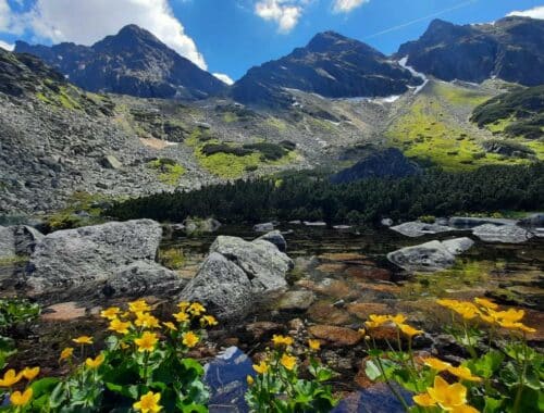 zielony staw gąsienicowy tatry polska