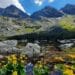 zielony staw gąsienicowy tatry polska
