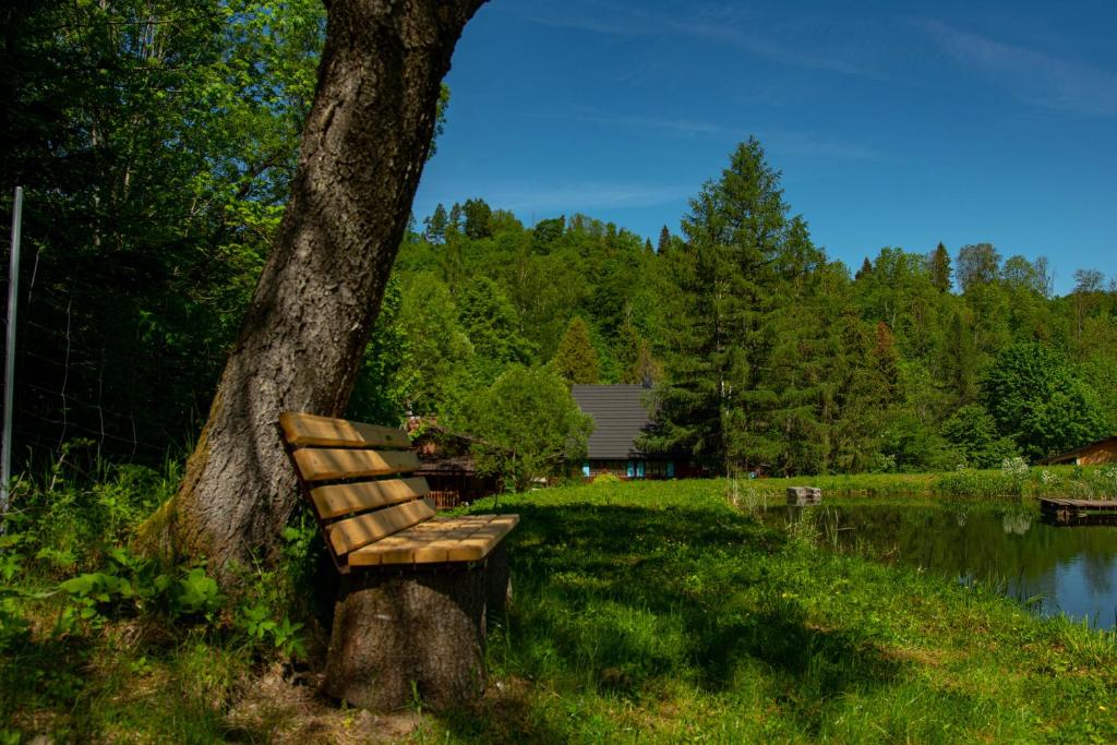 Bieszczady Domki na odludziu