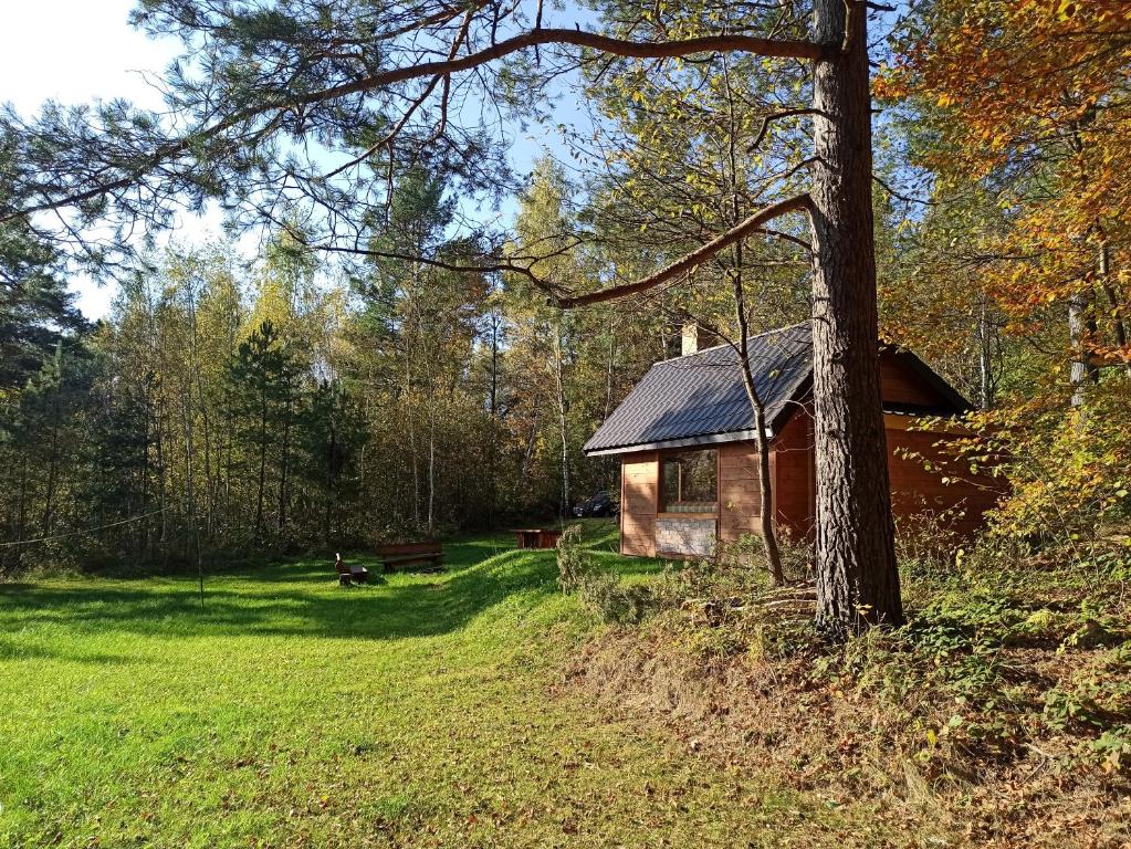 Bieszczady Domki na odludziu, Bukowsko, Survivalowa chata w lesie