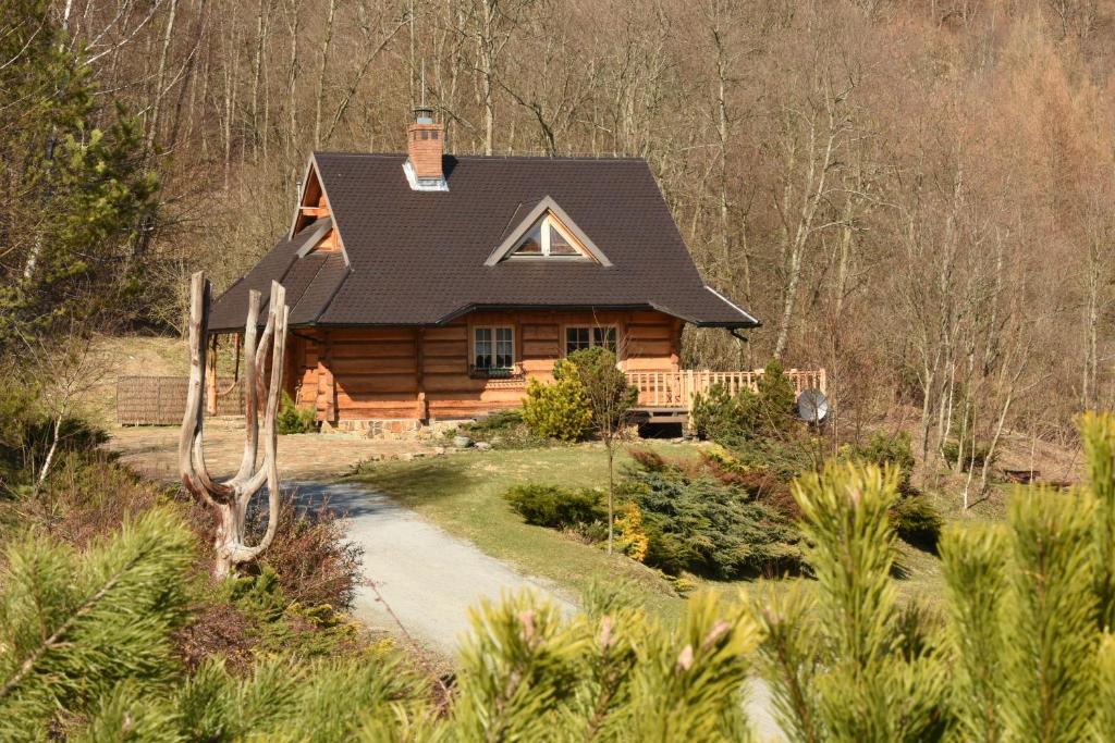Bieszczady Domki na odludziu, Cisna, Leśne uroczysko