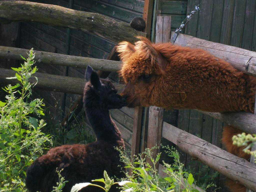 agroturystyka nad jeziorem