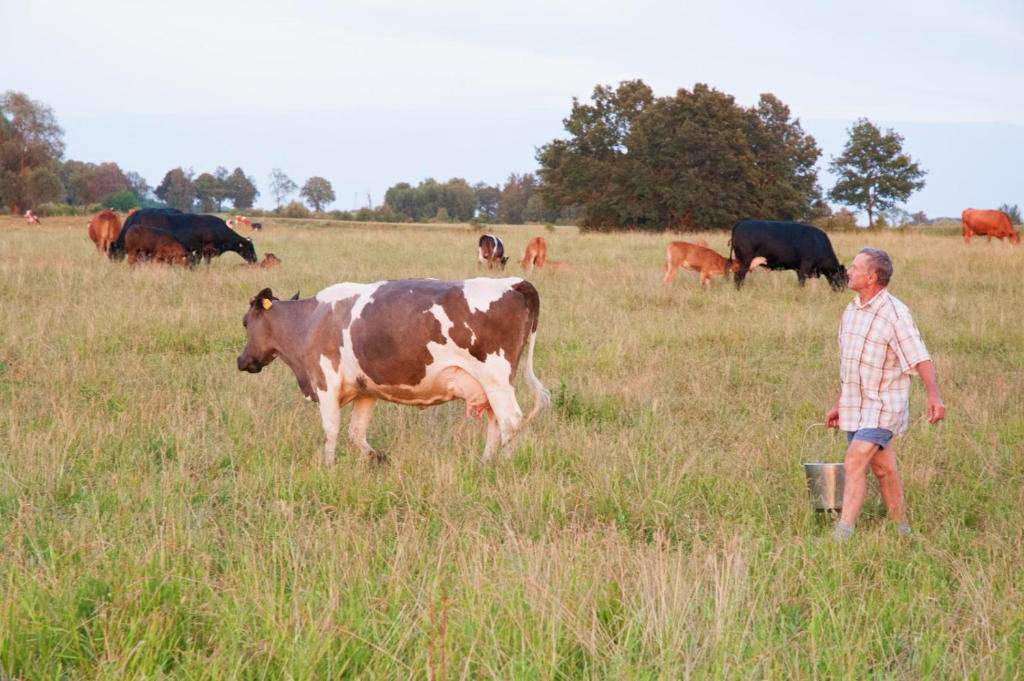 Agroturystyka dla dzieci ze zwierzętami