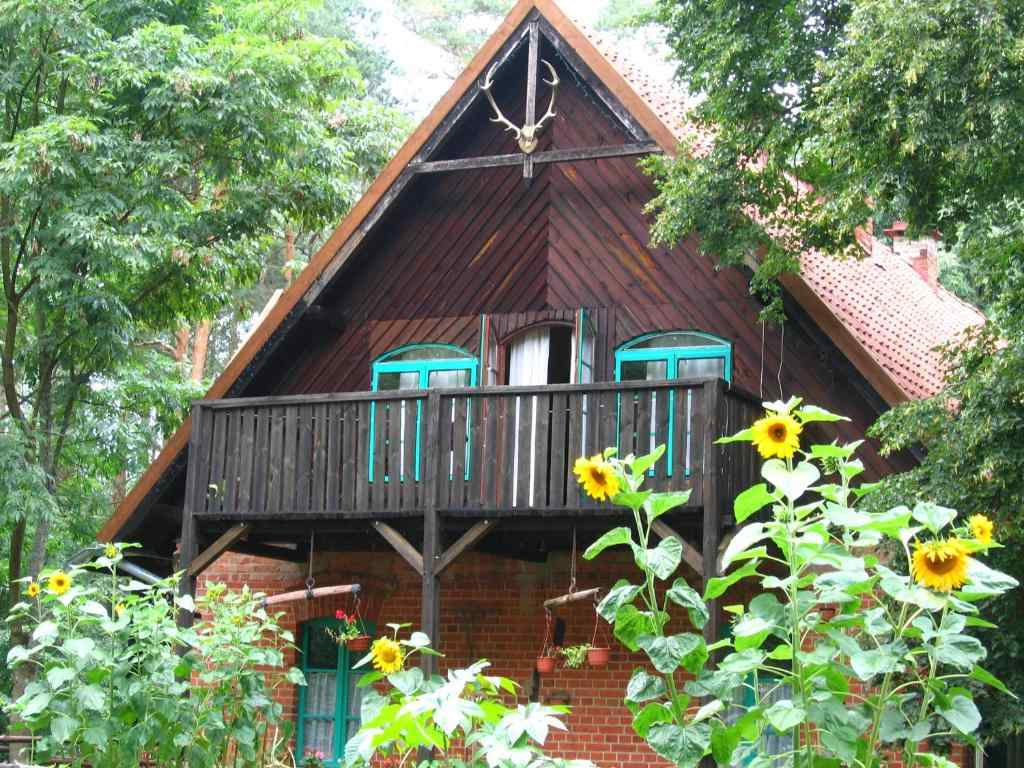 Agroturystyka dla dzieci ze zwierzętami