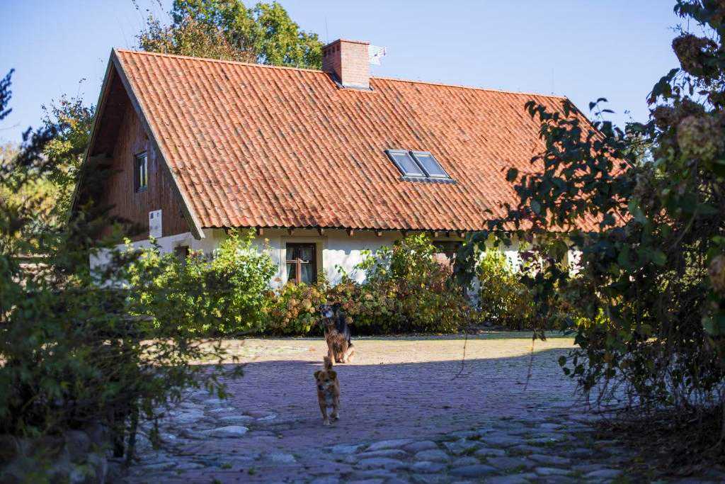 agroturystyka dla dzieci ze zwierzętami