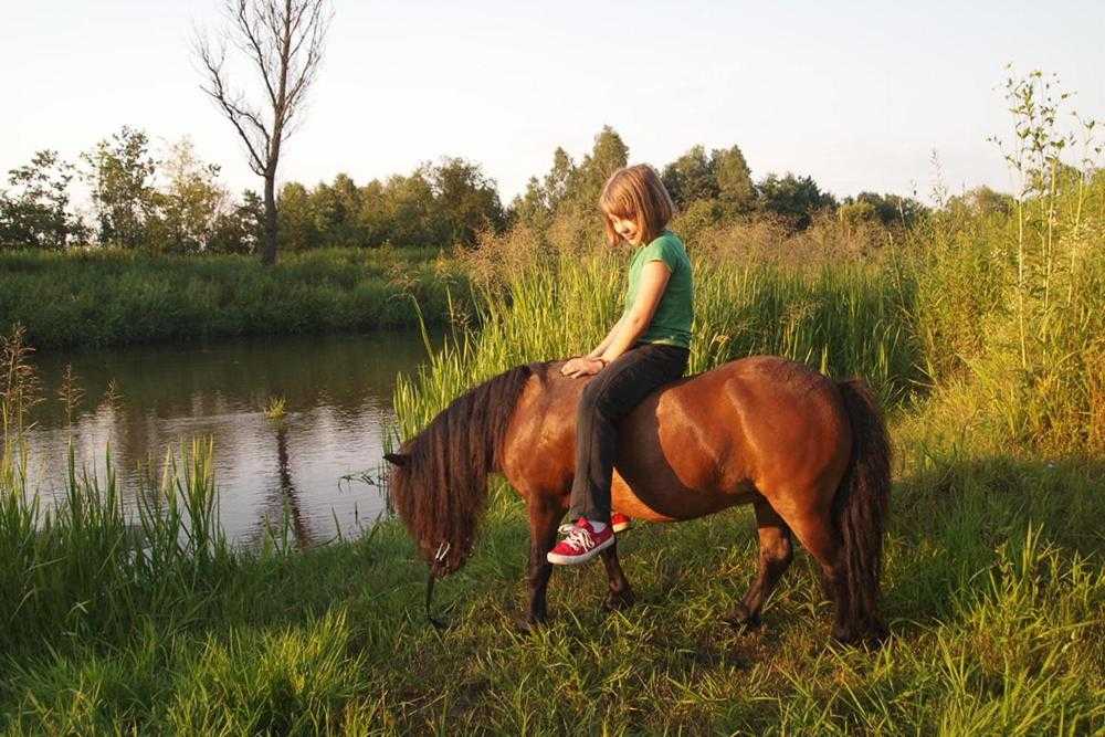 agroturystyka dla dzieci ze zwierzętami