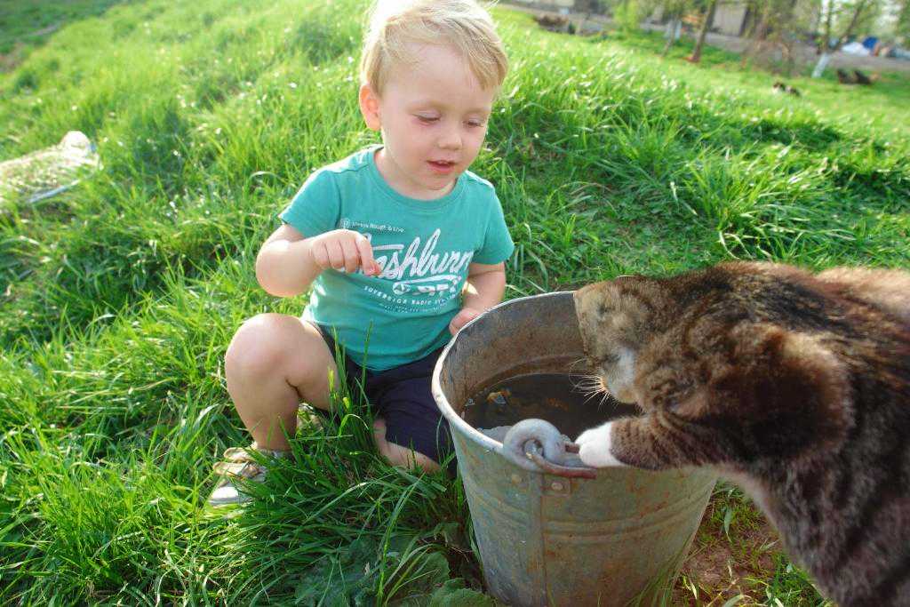Agroturystyka dla dzieci ze zwierzętami