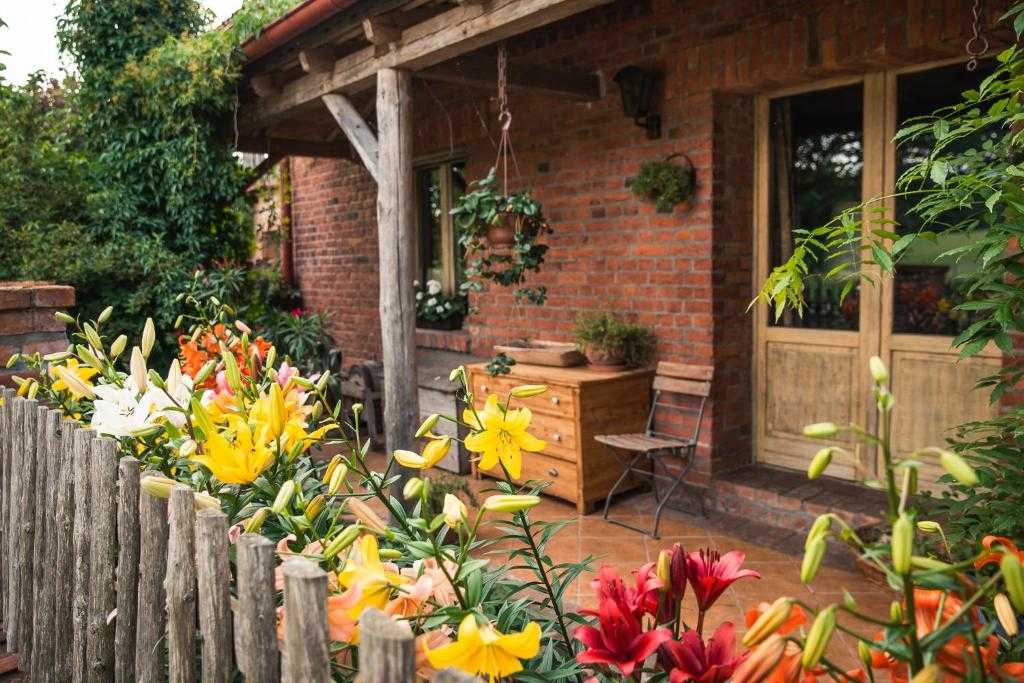 agroturystyka dla dzieci ze zwierzętami