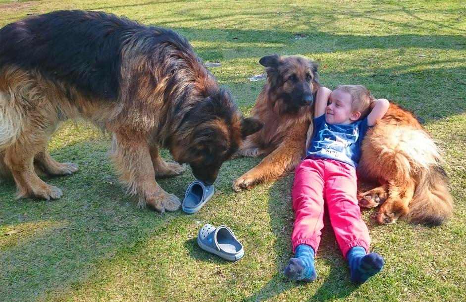 Agroturystyka dla dzieci ze zwierzętami