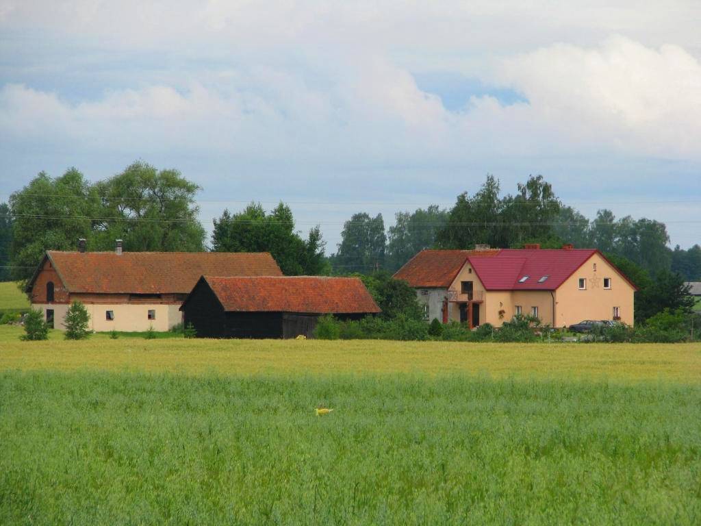 Agroturystyka dla dzieci ze zwierzętami