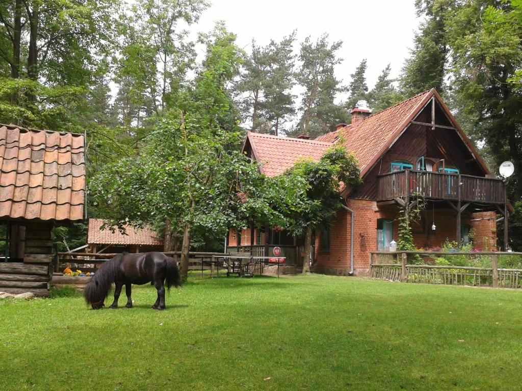 agroturystyka dla dzieci ze zwierzętami