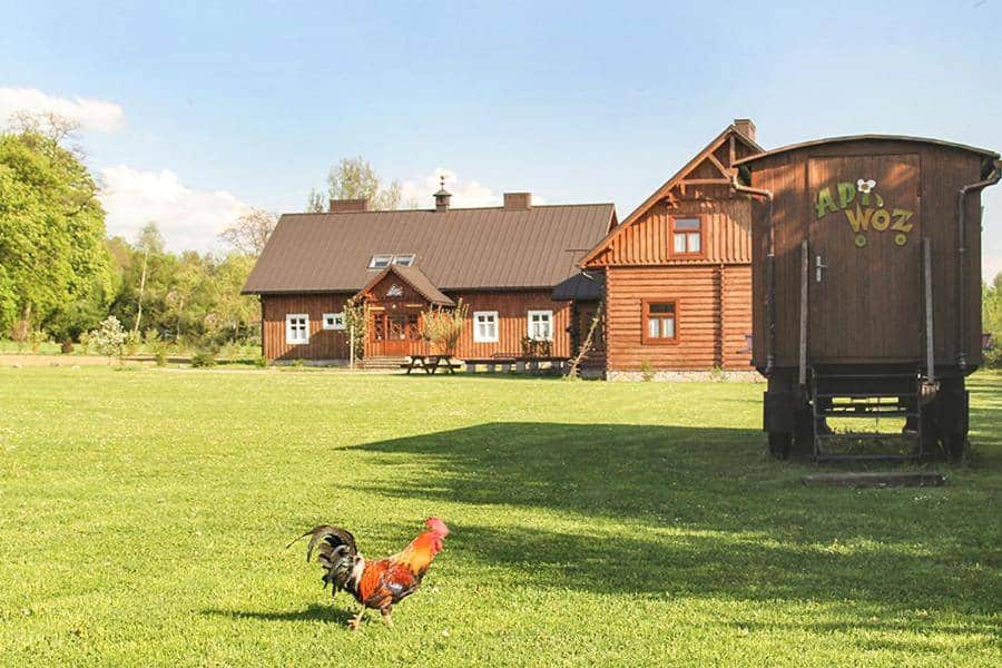 Agroturystyka dla dzieci ze zwierzętami