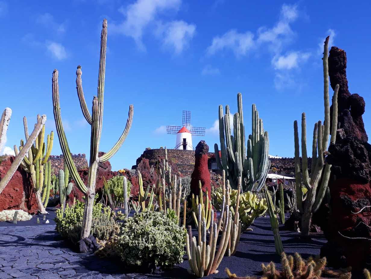 Ogród Kaktusów Lanzarote