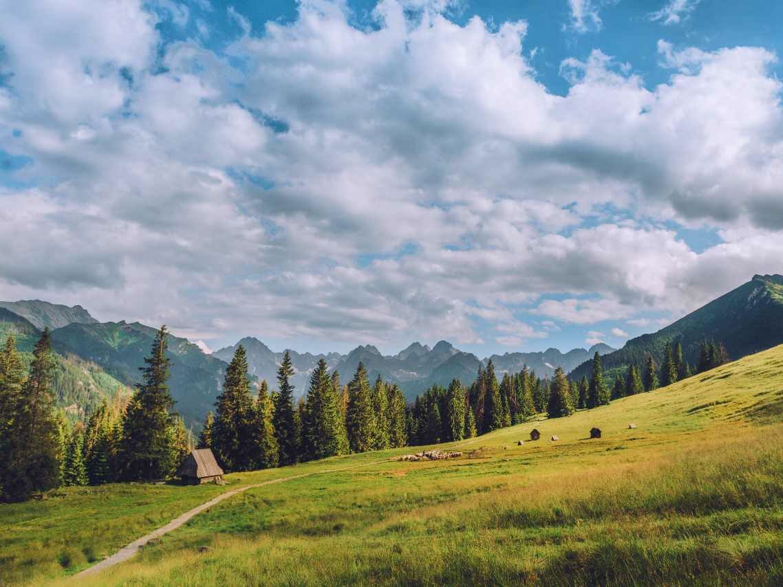 polana-rusinowa-tatry-polska