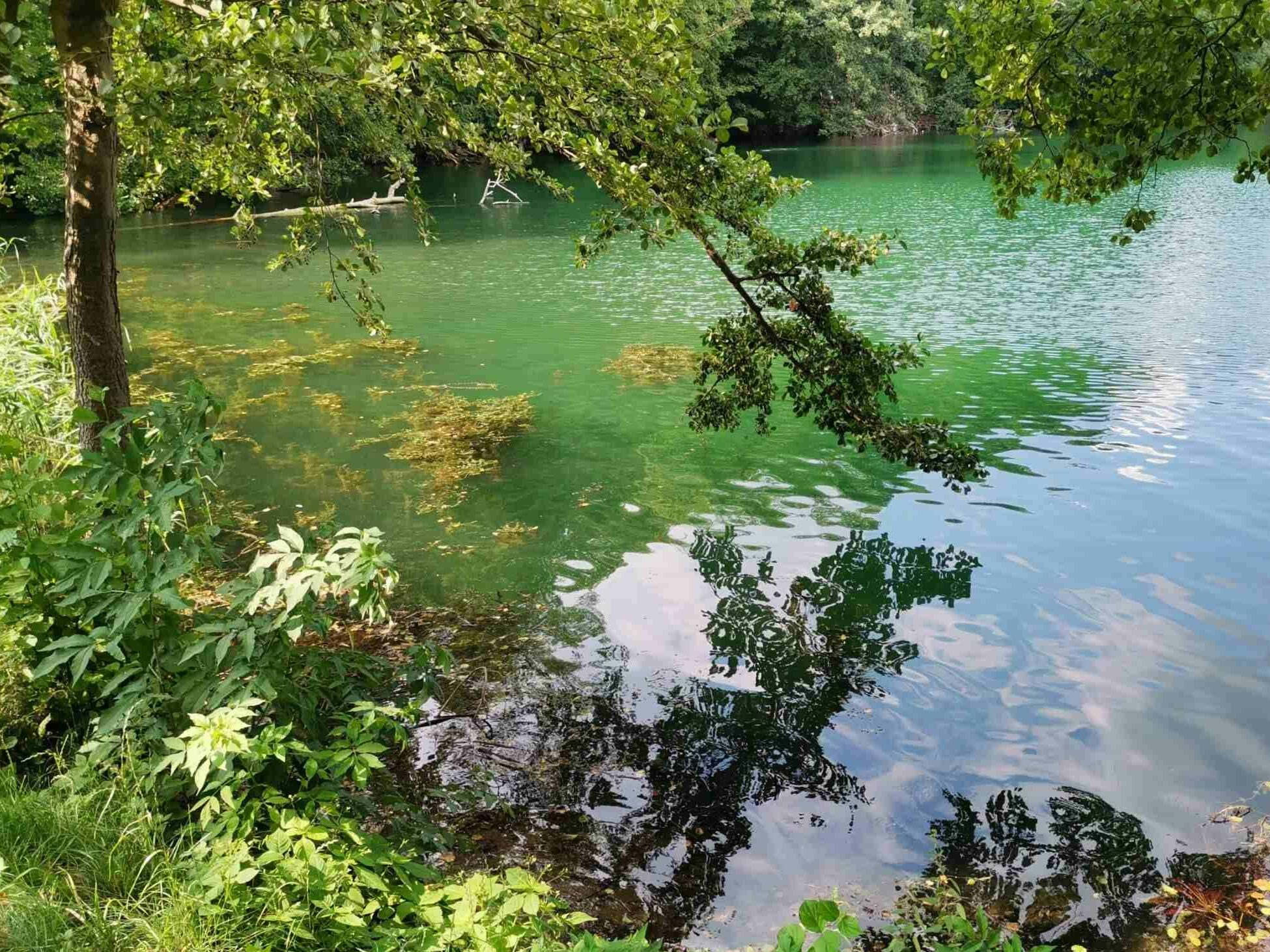 jezioro-ciecz-lagow-polska