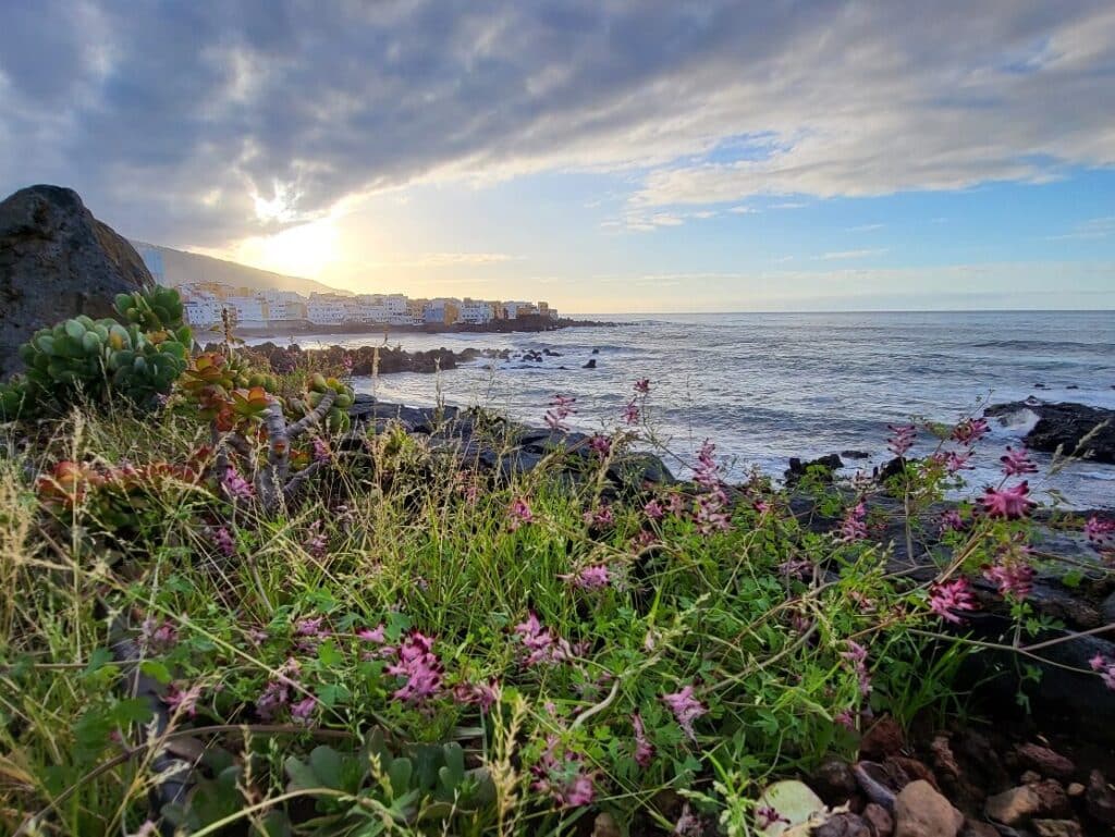 Puerto de la Cruz atrakcje, plaża Jardin, Teneryfa, Wyspy Kanaryjskie