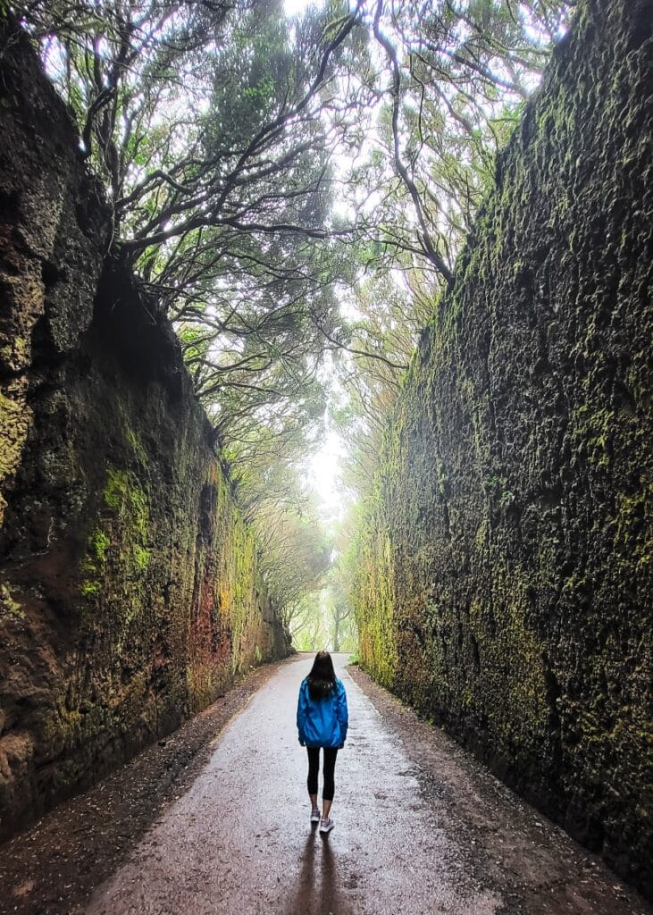 Tunel de las hadas_Teneryfa_Atrakcje