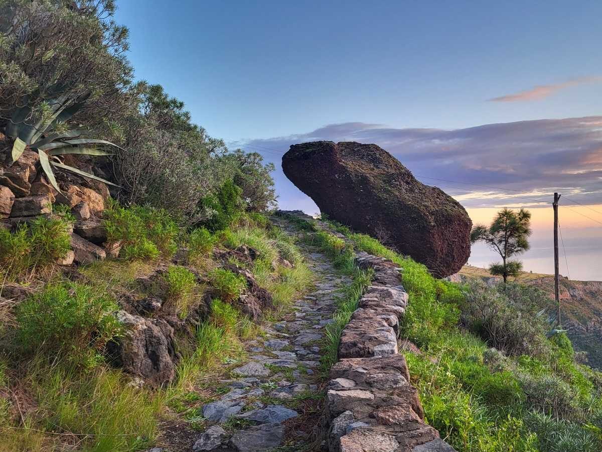 Szlak do Drago de Agalán La Gomera Wyspy Kanaryjskie