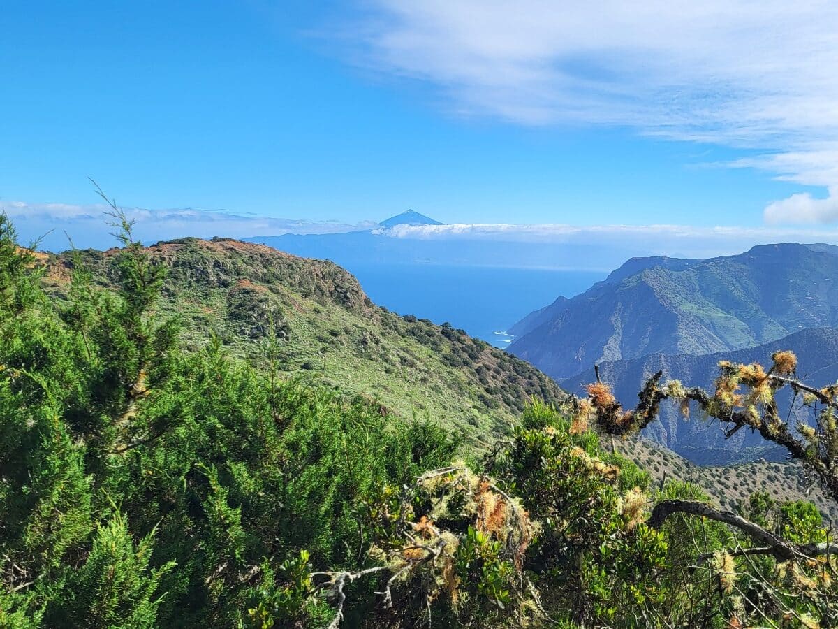 Vallehermoso La Gomera Wyspy Kanaryjskie