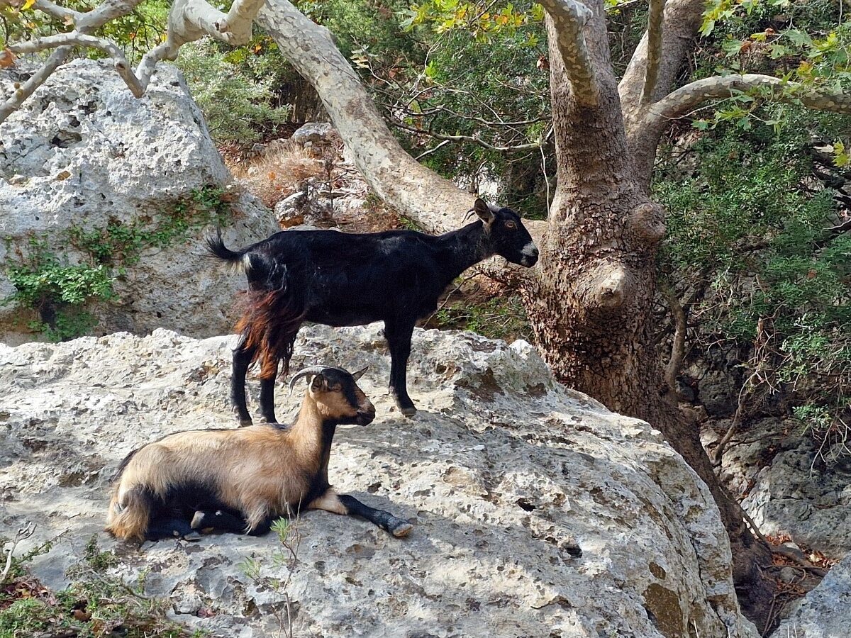 Chania, Kreta, Grecja, Góry Białe