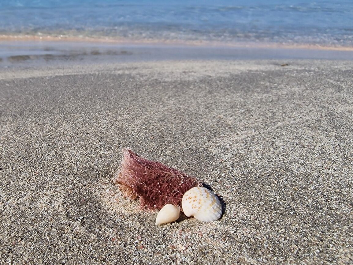 Chania, Kreta, Grecja, Plaża Elafonissi