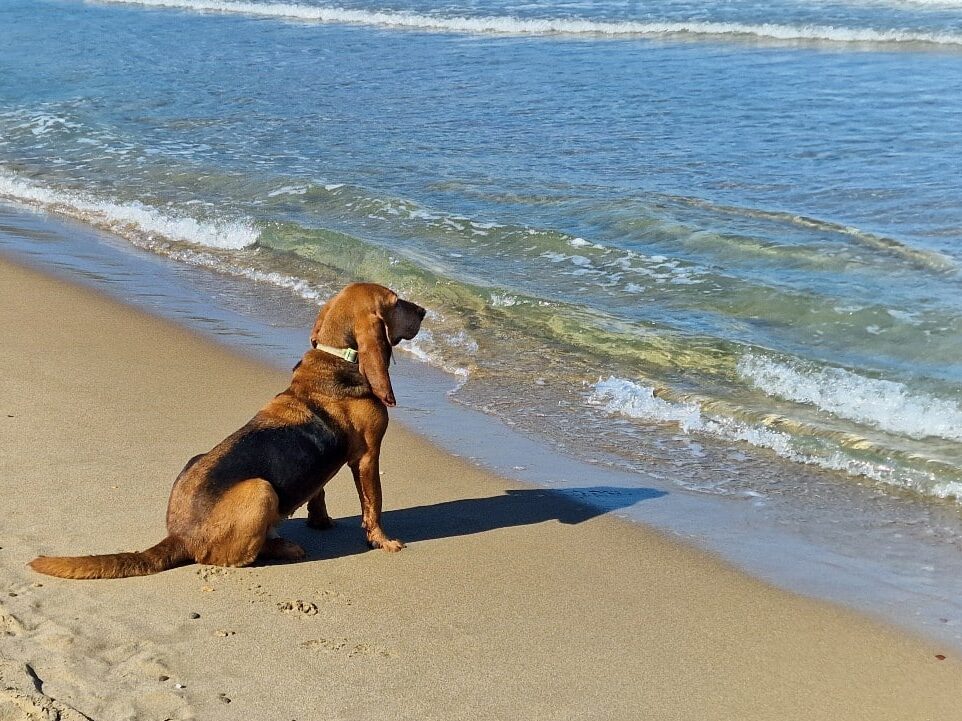 Grecja, Kreta, Chania,Chrisi Akti