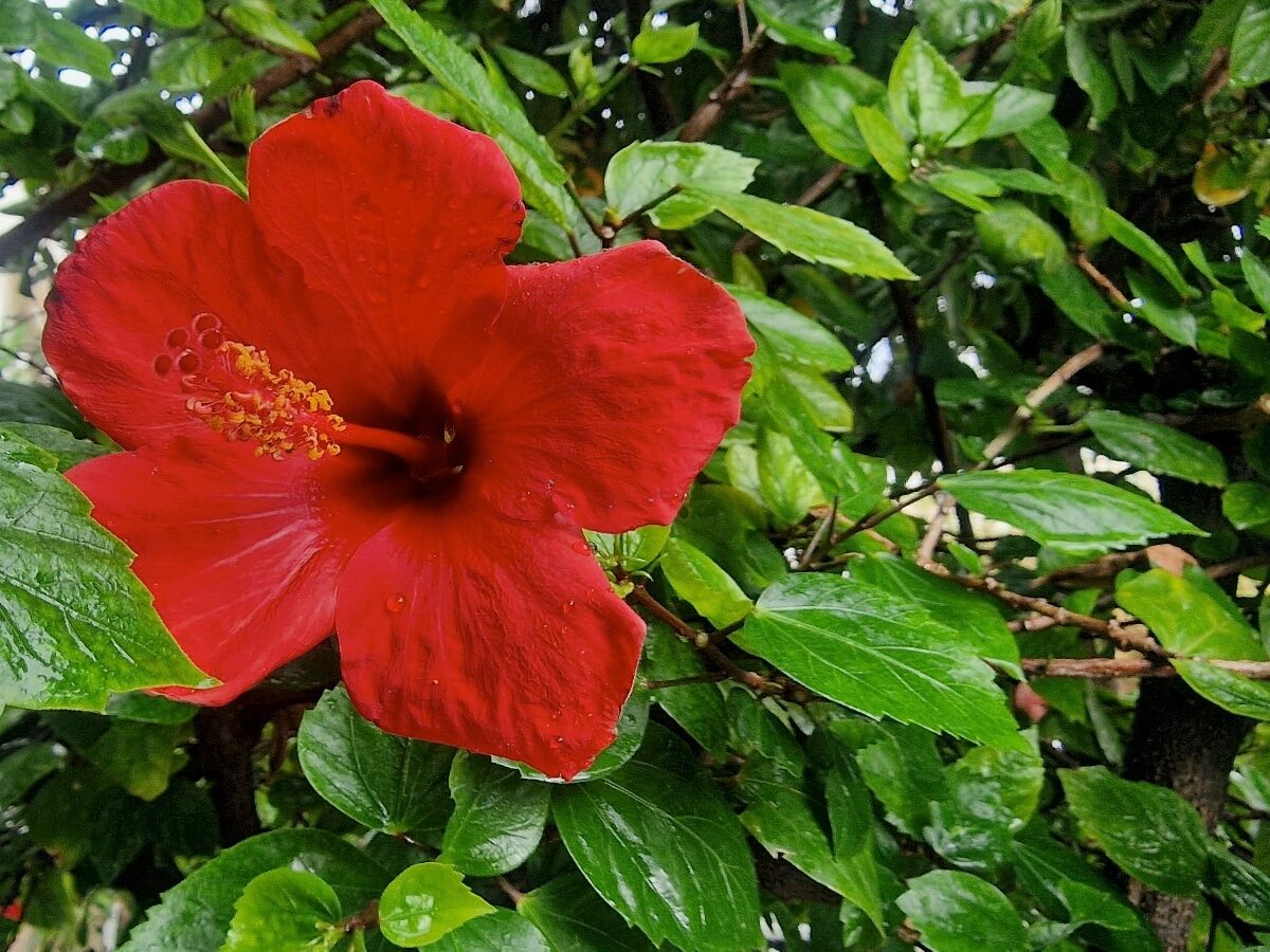 Grecja, Kreta, Ogród Botaniczny
