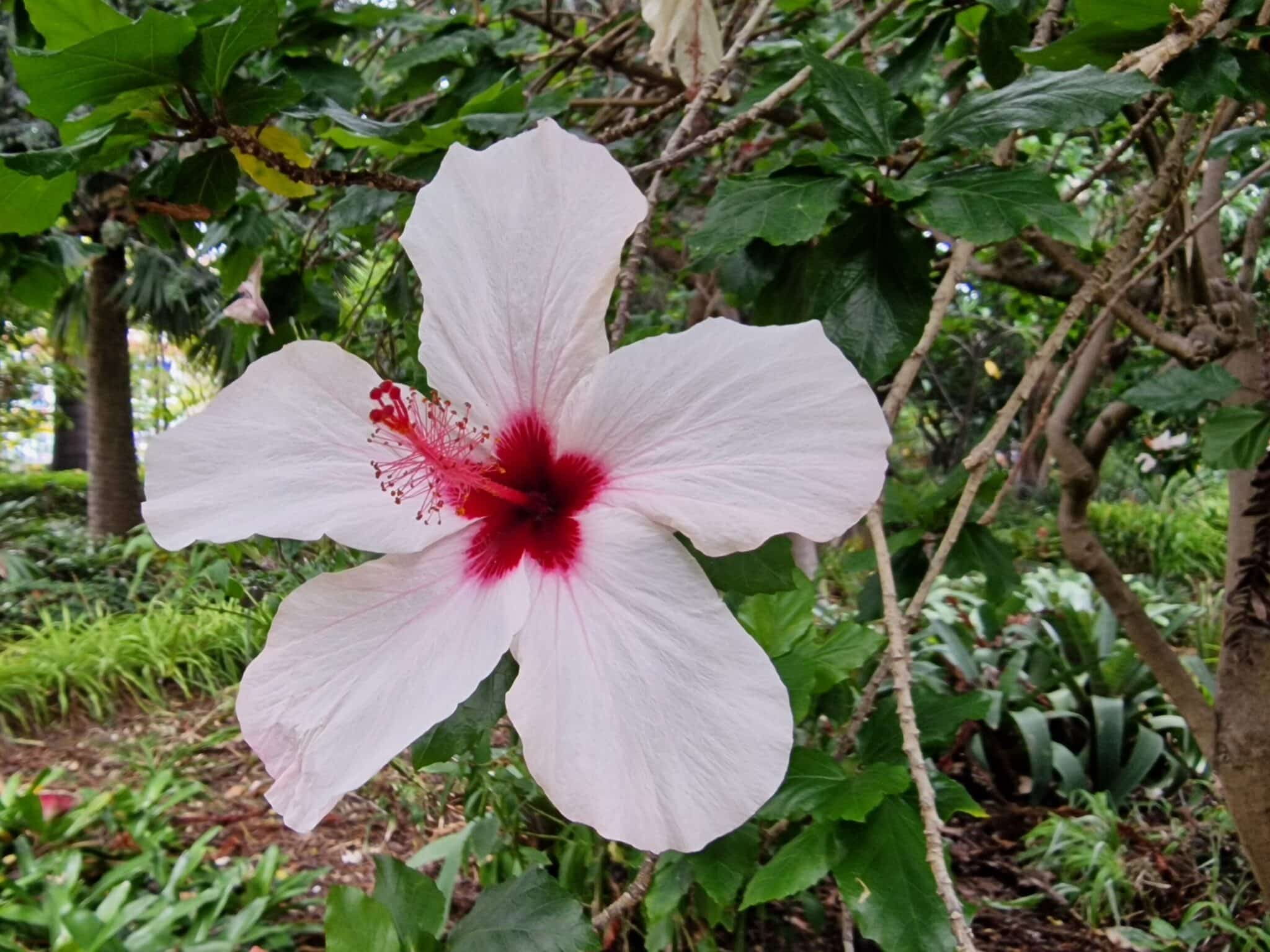 Grecja, Kreta, Ogród Botaniczny