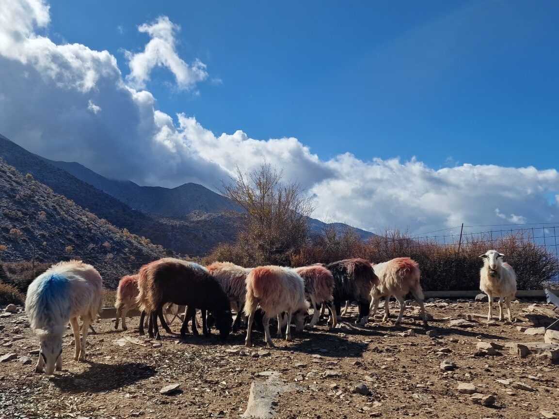 Kreta, Grecja, Góry Białe