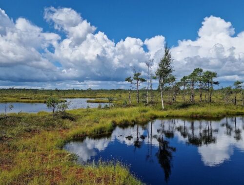 Park Narodowy Soomaa_Estonia
