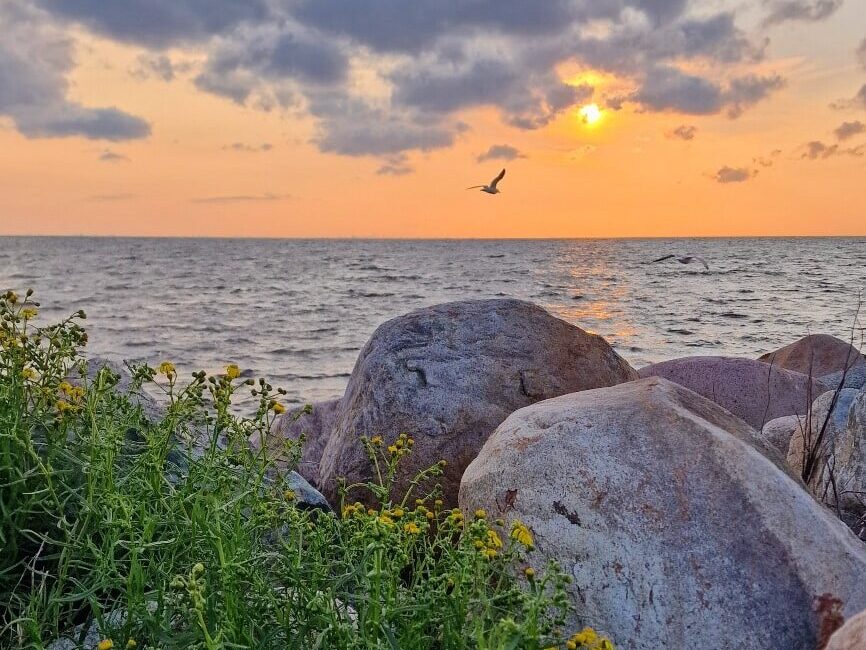 Szwecja, Malmö, plaża Ribersborg