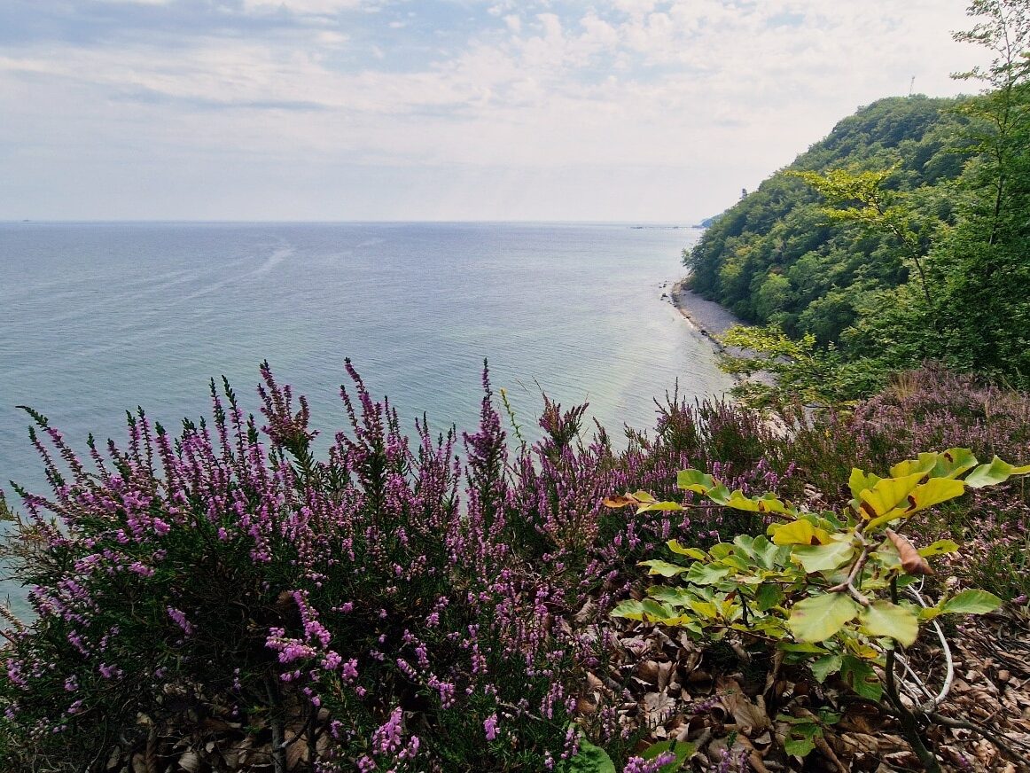 Niemcy, Rugia, klify Binz